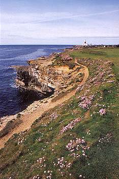 View of Portland looking towards lighthouse